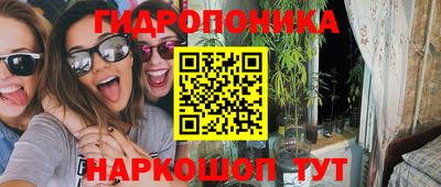a pvp Свободный