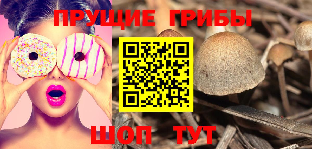 Острогожск  Псилоцибиновые грибы мухоморы  Вход с VPN  Псилоцибиновые грибы GOLDEN TEACHER 